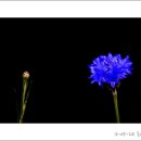 정원빌딩 이미지