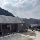 우리밀베이커리 | [춘천/브런치카페] 밀봄숲 | 화덕에서 구운 우리밀 베이커리 브런치 카페 후기