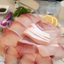 최강회포차 이미지