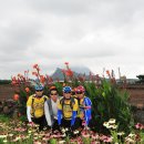 (주)모드 이미지