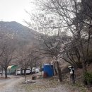 태백산로 | 영월약수터 캠핑장 후기｜벚꽃 캠핑 명소, 방갈로 후기 + 아이랑 가기 좋은 캠핑장