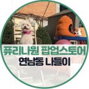 (주)애그리브랜드퓨리나코리아 | 퓨리나원 건강하우스 연남동 팝업스토어 나들이