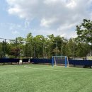 푸른공원 이미지