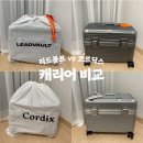 대신볼트 | 제품리뷰 | 내돈내산 기내용 소형 캐리어 솔직비교 후기 리드볼트 오딧 플랩 캐리어 코르딕스 루프 캐리어