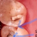 한마음서울치과의원 이미지