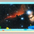 조견사우 이미지