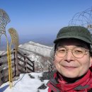 용문 행정사 네이버블로그