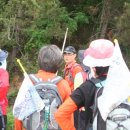 함평해수찜 이미지