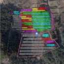 진전면100 이미지