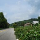 세탁소가는길 이미지