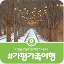 가평애향식당 | [가평 가족여행지] 가평읍에서 즐기는 겨울 가족여행 코스 추천