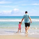 해변의 꿈 이미지