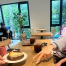 서초대로48길 20 이미지