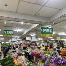양정꽃시장 양정꽃도매상가 거베라 델피늄 후기