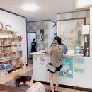 차지우동물병원 이미지