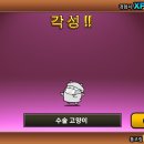 N104 이미지