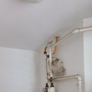 우일가스 이미지