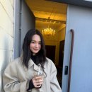 예쁘다 개 이미지