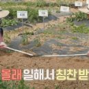 조준호농장 이미지