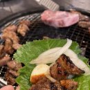 만이갈비미아