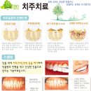 연세느티나무치과의원 이미지