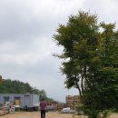 신광개발