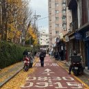 용산-이촌-186 | 용산 이촌동 르번미 블루리본 쌀국수 국중박 맛집 퍼보 분레 반미