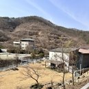 통이네집 네이버블로그