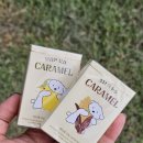 꽃동산로1 이미지