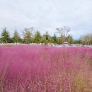 낙동강체육공원 관리사무소 이미지