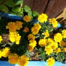 아랑농장 이미지