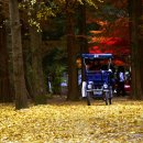 무지개 서는 마을 이미지