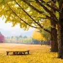 봄과가을이 이미지