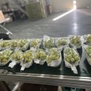 해찬농장 이미지