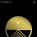 인생1년차