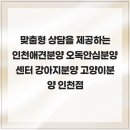 오독안심분양센터 강아지분양 고양이분양 인천점 | 맞춤형 상담을 제공하는 인천애견분양 오독안심분양센터 강아지분양 고양이분양 인천점
