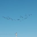 예산상회 이미지