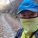 원주굽이길 2코스 700년노송길 | 원주굽이길 2코스(700년노송길 19.1k) 후기 2