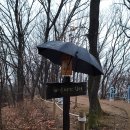 생명의 소리 이미지