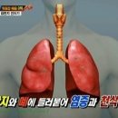 해충탈출넘버원 - 익산시 | 해충탈출넘버원