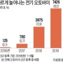 배오토바이