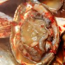 용궁식당 이미지