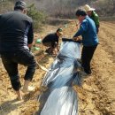 고향자녀농장 이미지