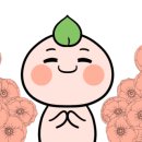 청주카써비스 이미지