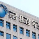 금융감독원 이미지