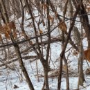 안내면행정복지센터 이미지