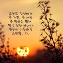 행복한 순간 이미지