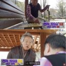 돋을볕