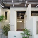 도그루밍 | 틸테이블X꼬또네X언와인드