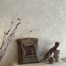 월가스테이 이미지